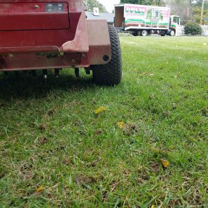 Watering a new lawn