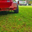 How to Prep Lawn for Reseeding