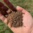 What Does Fertilizer Look Like?