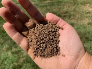 what does fertilizer look like
