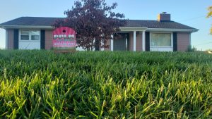 Winterizing Fertilizer