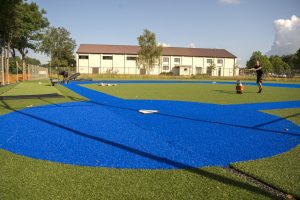 Blue Grass