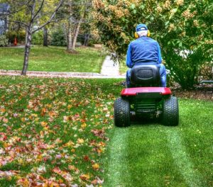 Mulching Leaves