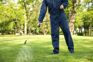 Man sprays pesticide on lawn