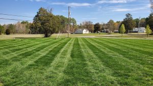 Lawn stripes